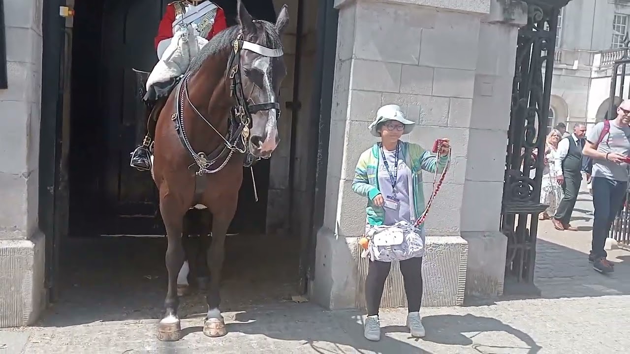 Ormonde Goes Mad From Tourist Misbehavior!#thekingsguards #kingsguard #horseguards