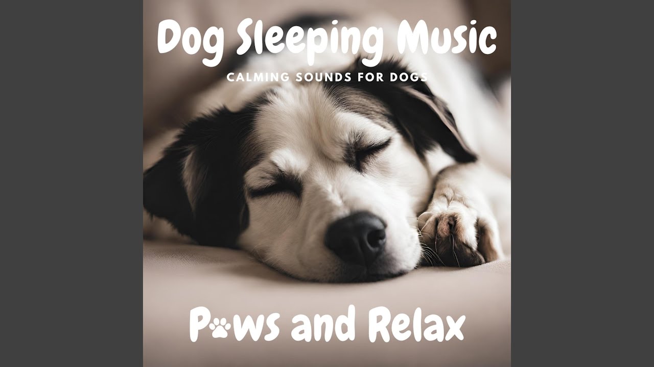 Paws in Harmony: Sleepy Dog