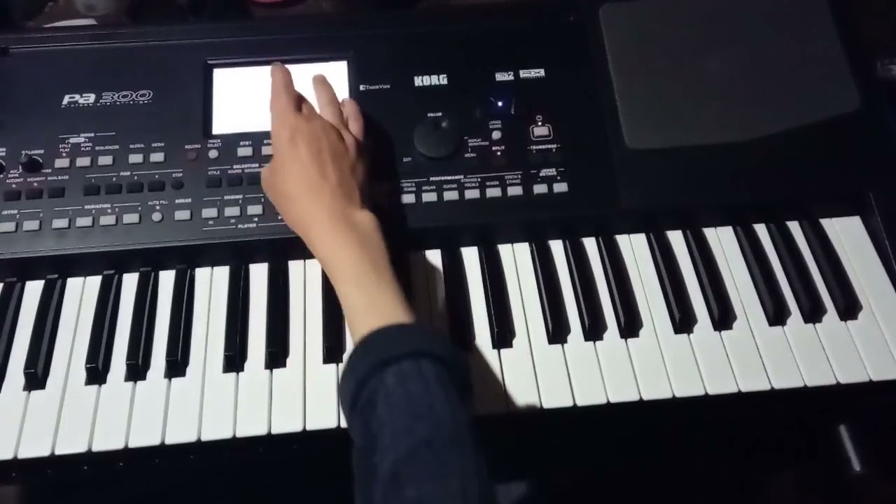 LA BIRTUȚU DIN PĂDURE MELODIE ȘI TUTORIAL NELU CARP MUZICĂ 🎹
