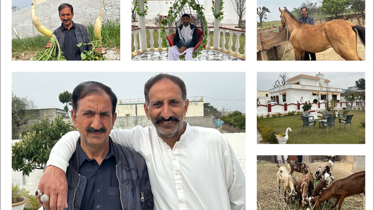 Ch.Ishfaq’s Beautiful Mansion in Chattroh- #villagelife #chattroh_dadyal_azad_kashmir