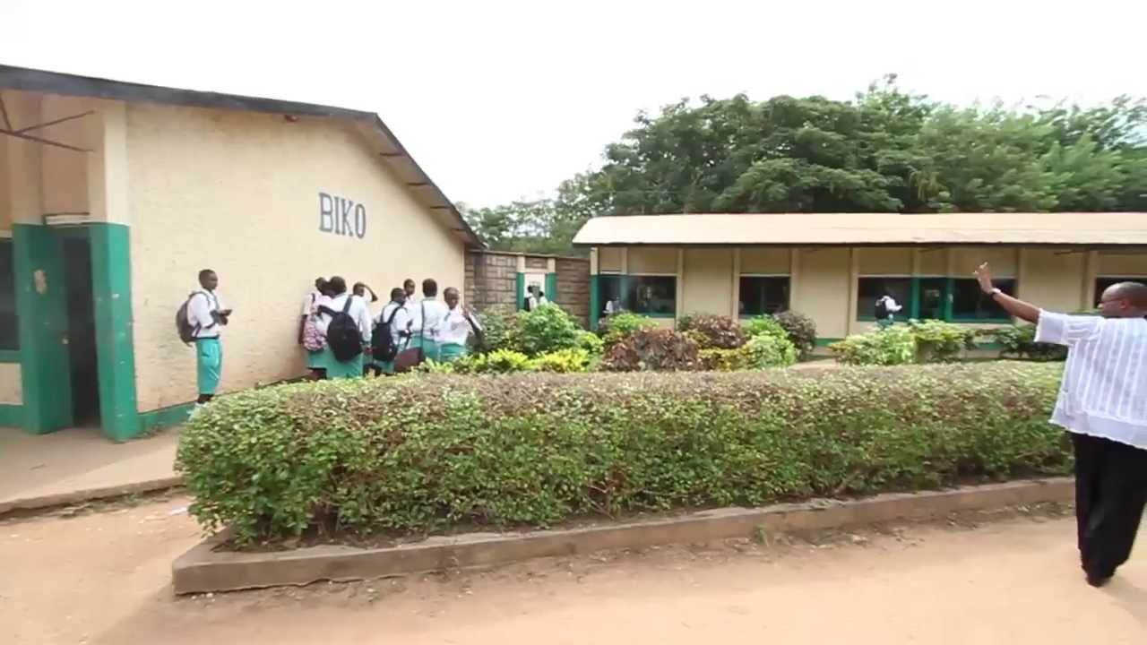 BNL Gives Back with Born Free