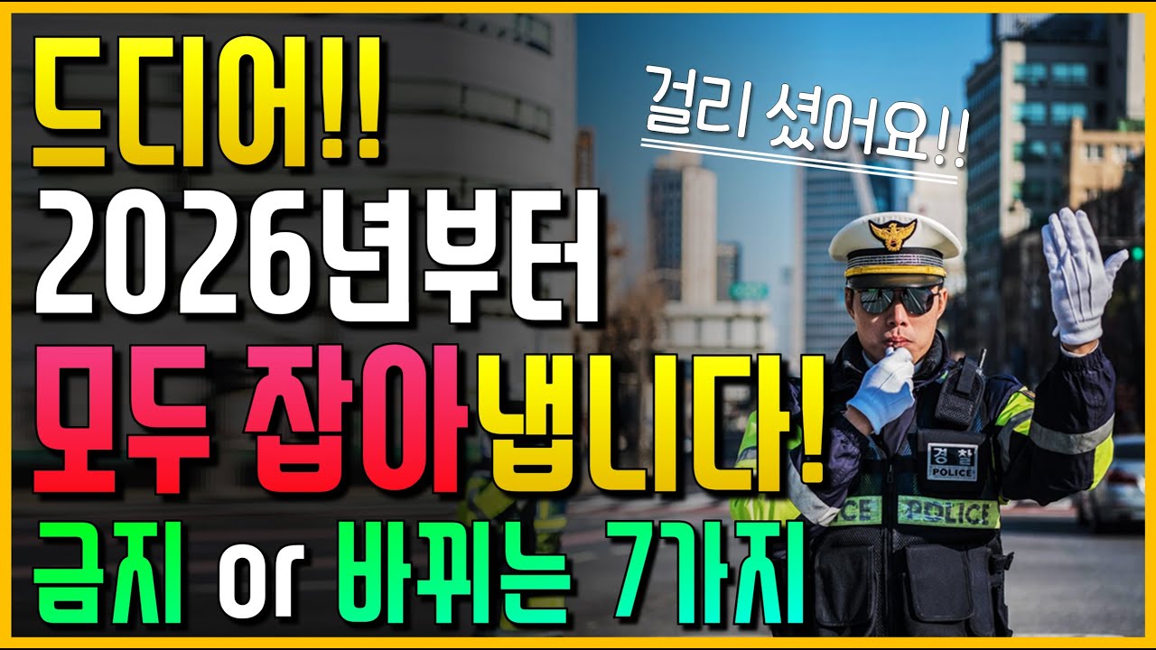 드디어 2026년부터 이런 차량들 모두 잡아냅니다!! 금지 or 바뀌는 7가지!