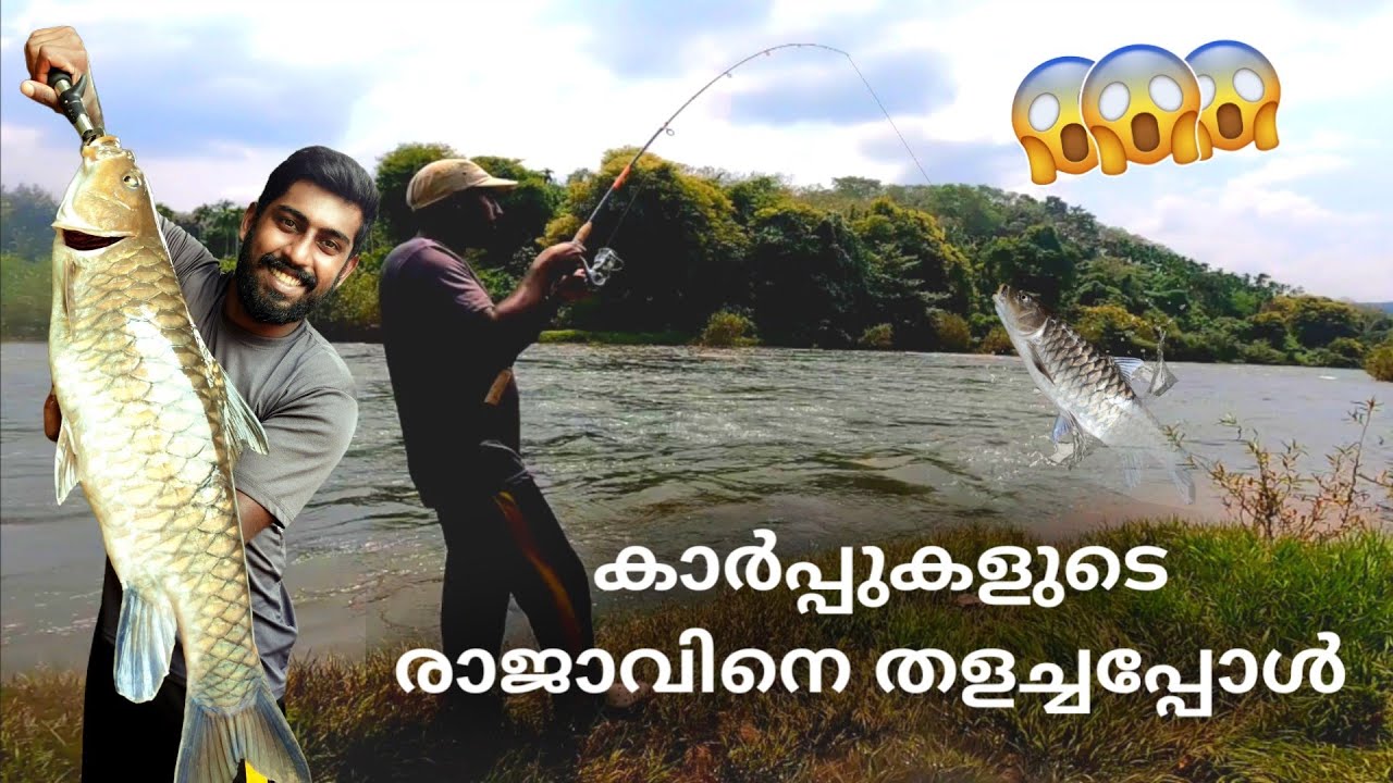 ആരും ഒന്നുപിടിക്കാനാഗ്രഹിക്കുന്ന മീൻ |mahseer| bluefin mahseer| കറ്റി |king of carp👑👑👑|