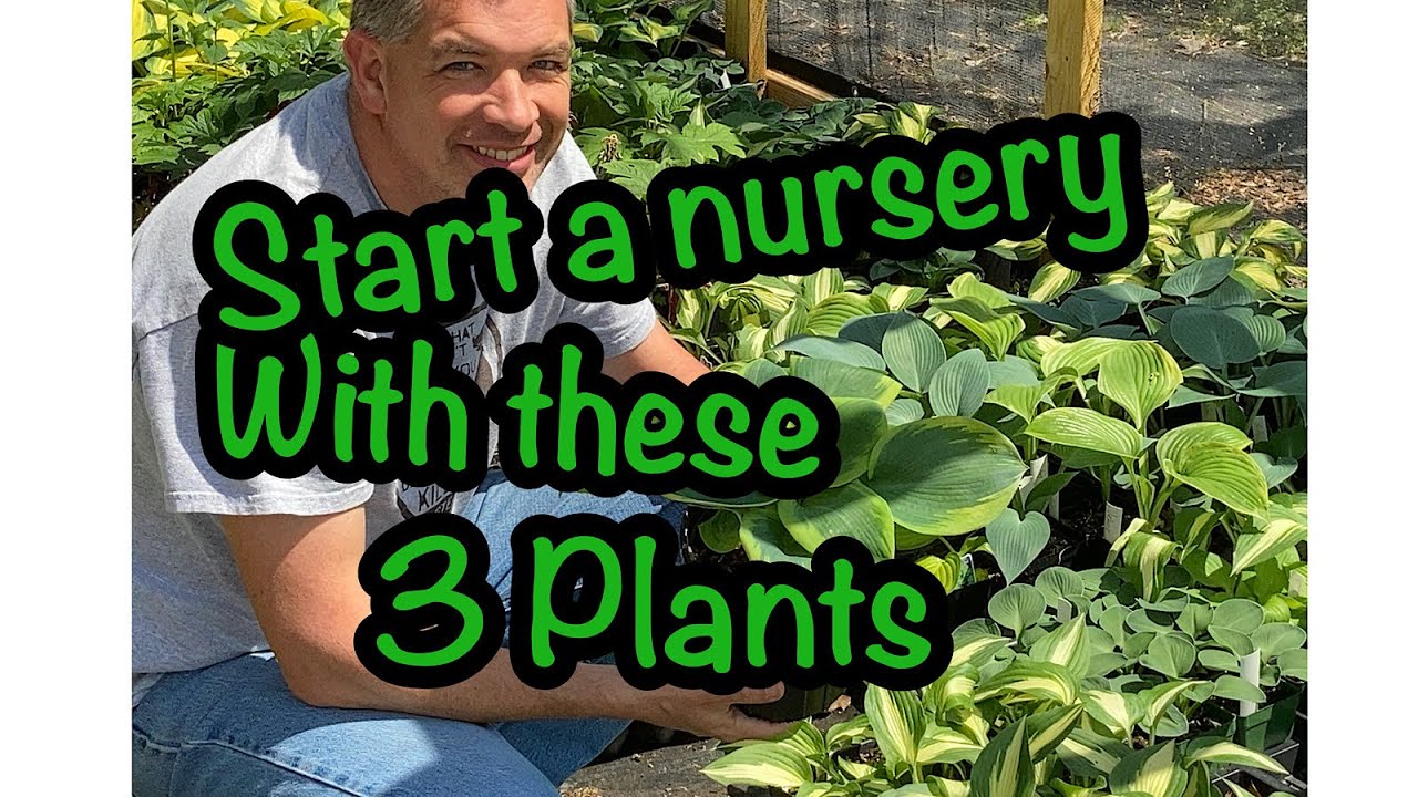Начните свой питомник с этих трёх растений! 🌱🌱 Выращивание на заднем дворе // Начинаем выращивани...