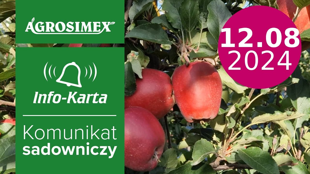 Zabiegi przedzbiorcze w sadach jabłoniowych i gruszowych - komunikat sadowniczy | Agrosimex