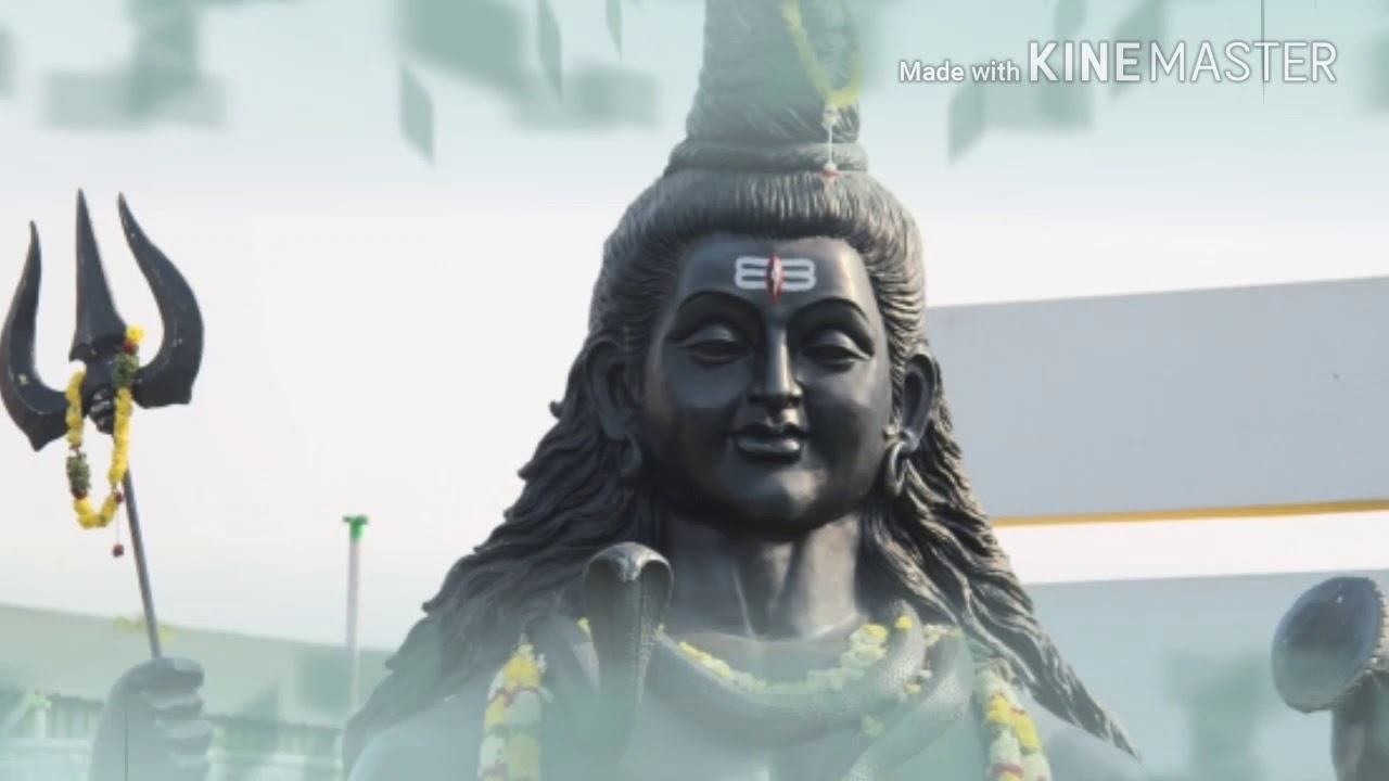vinay gvr