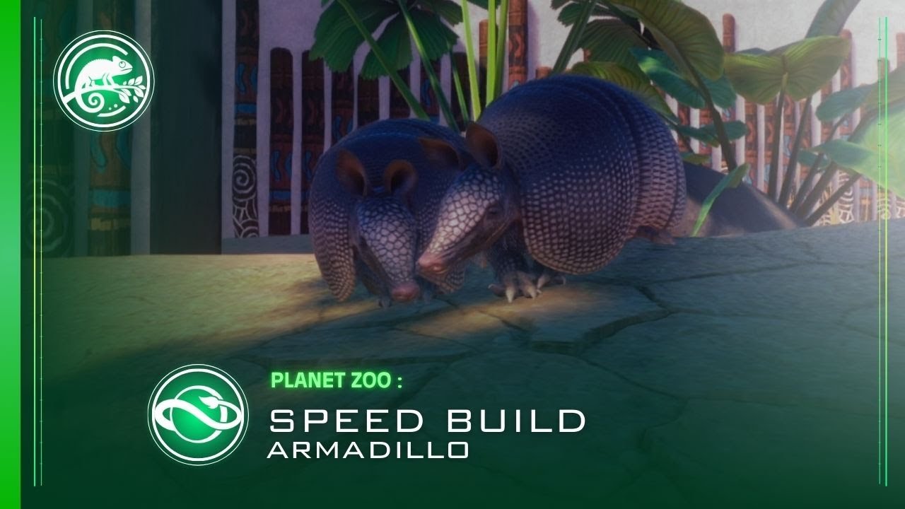 Exhibición de Armadillo de nueve bandas ( Dasypus novemcinctus ) | Speed Build | PLANET ZOO