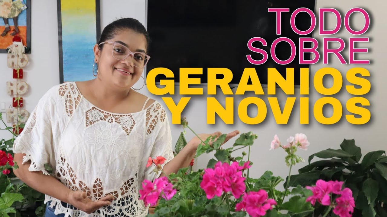 TODO SOBRE LAS PLANTAS DE GERANIOS Y NOVIOS 🌸🌷PASO A PASO🌺