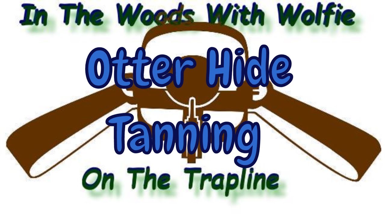Tanning An Otter Hide