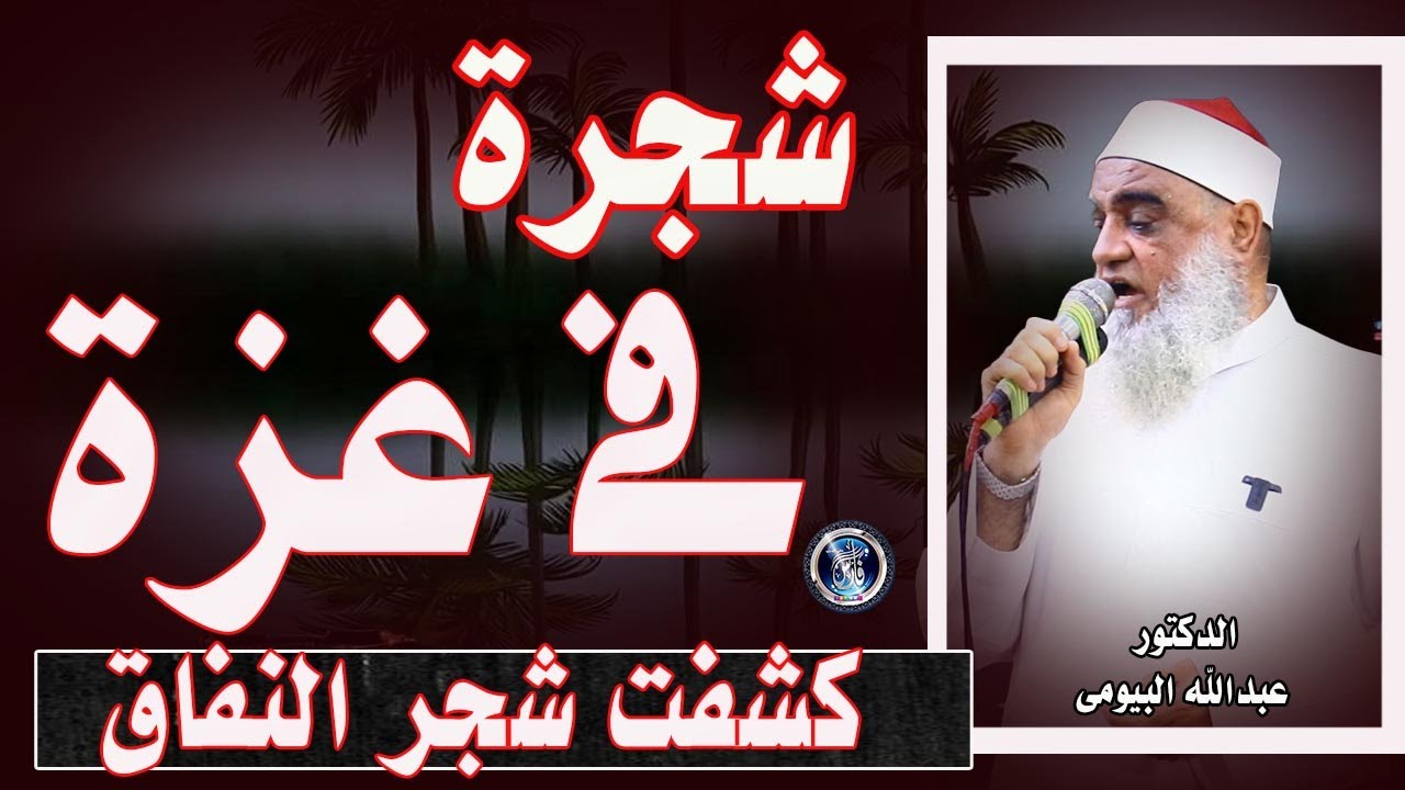 غزة تكشف الوجوه الحقيقية| شجرة الإيمان فضحت شجرة النفاق!