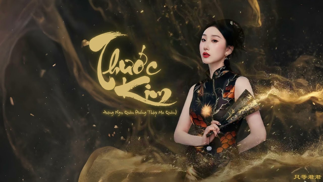 【Vietsub + Pinyin + Hán Việt】Thước Kim - Đẳng Thập Ma Quân || 铄金 - 等什么君 (Lyrics Video)