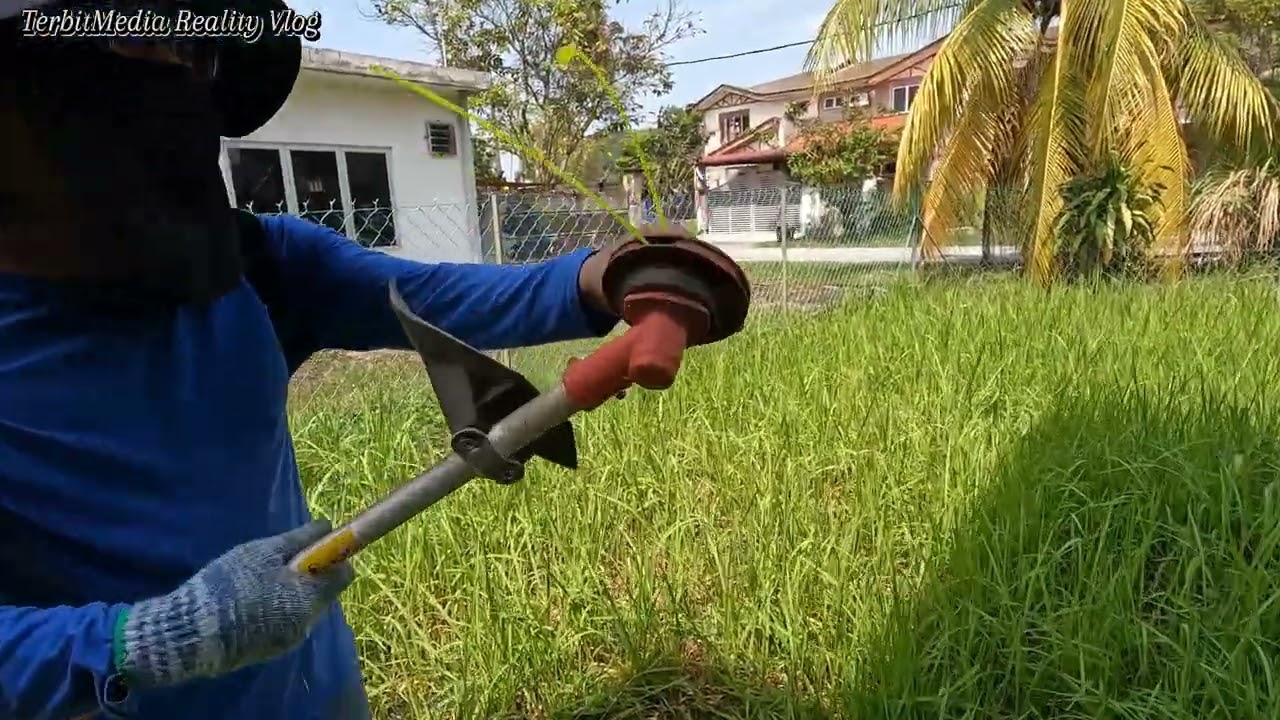 Lawn weed grass for end of the year with brush cutter.