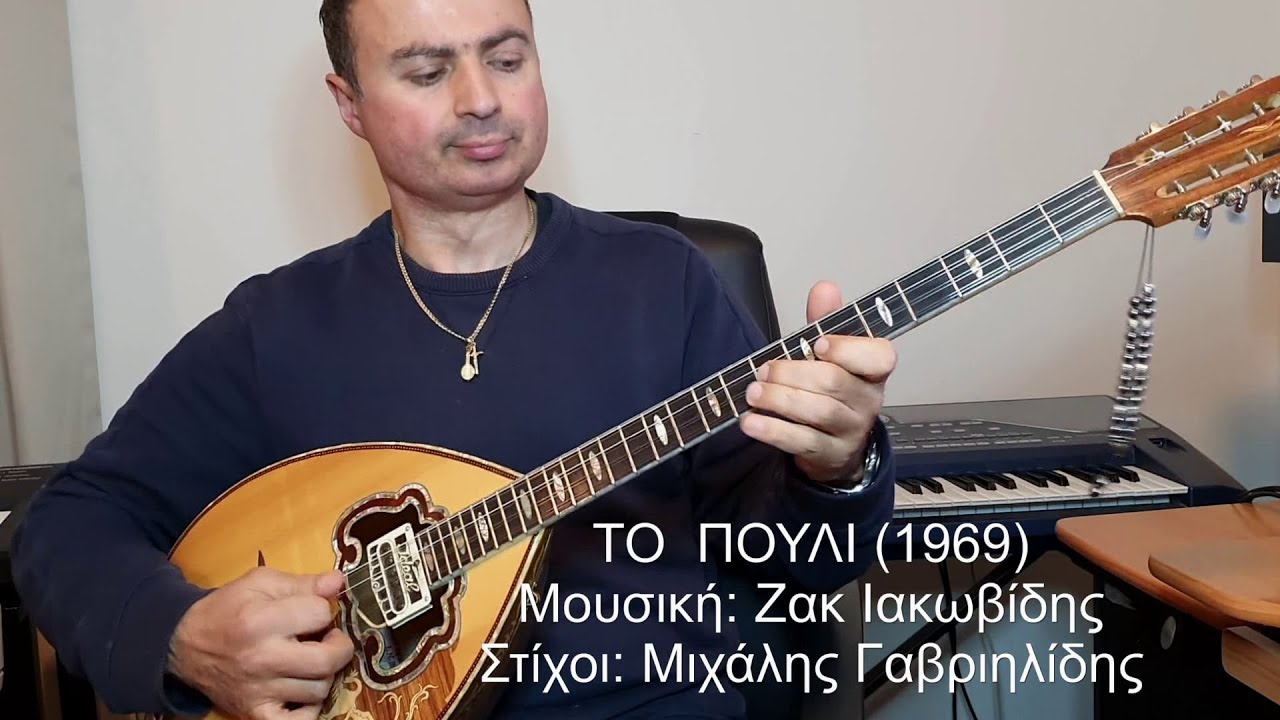 ΤΟ ΠΟΥΛΙ 