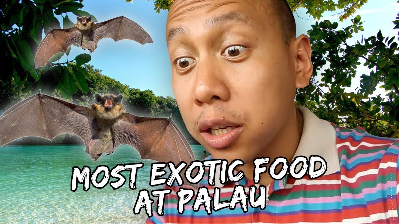 MOST EXOTIC FOOD I'VE EVER TRIED! (PALAU) | Vlog #468