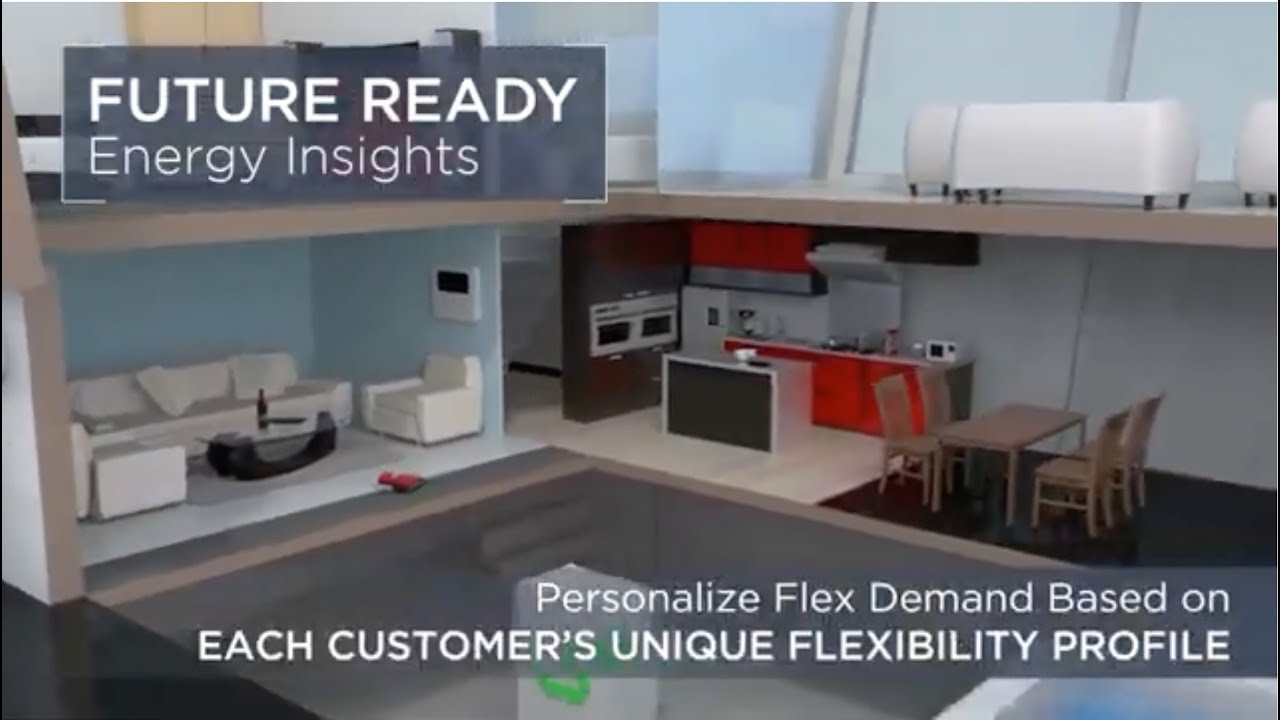 Future Ready Energy Insights: Personalize Flex Demand Per Customers' Unique Flex Demand Profiles