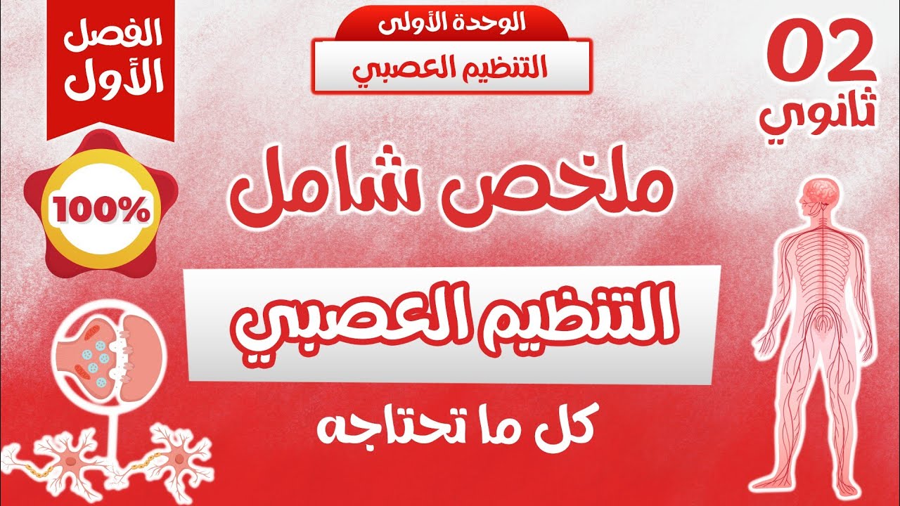 واخيرا🔥مراجعة للاختبار⭐اقوى ملخص التنظيم العصبي| ثانية ثانوي ⭐ راجع بذكاء