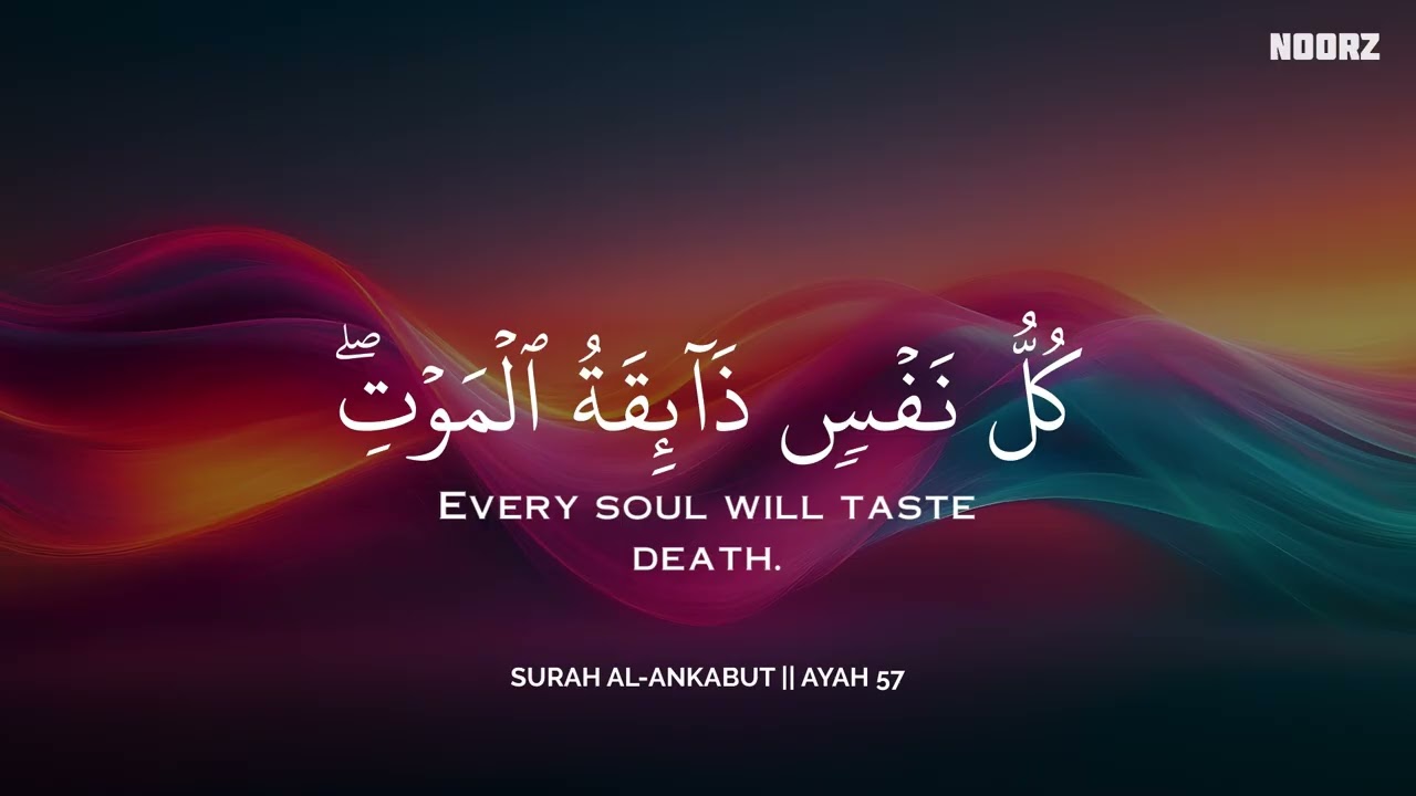 رح سمعك وقلبك بالقرآن❤️🎧 وأستمع لتلاوة هادئه بصوت محمد هشام | راحة نفسية😌 | Mohamed Hesham