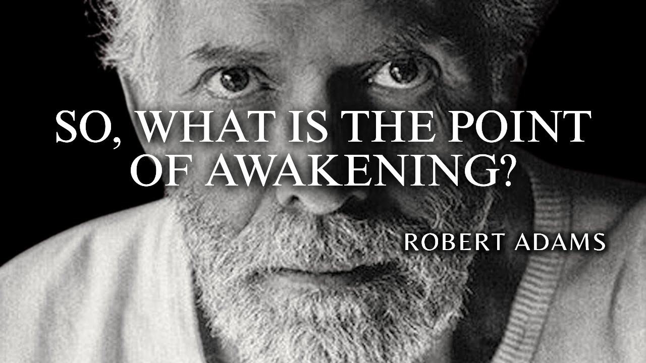 Robert Adams — Consciousness does not CANCEL the human condition