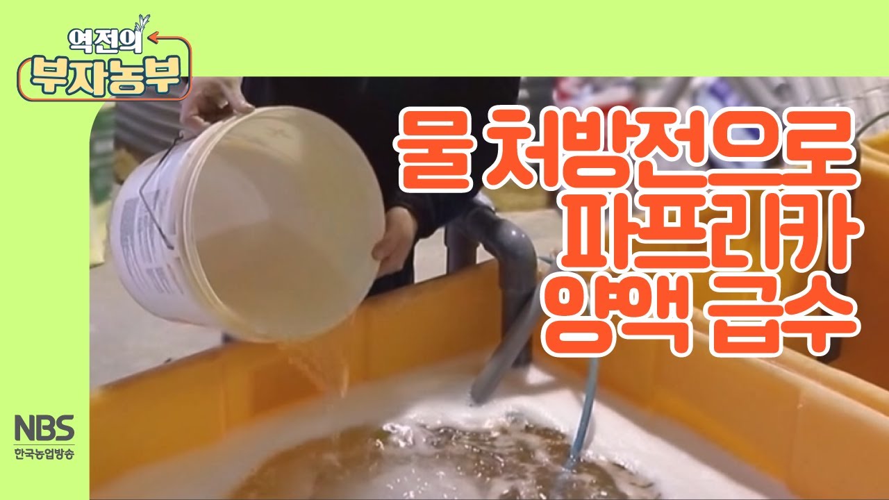 [역전의부자농부 231회] 물 처방전으로 파프리카에 좋은 양액 급수하기