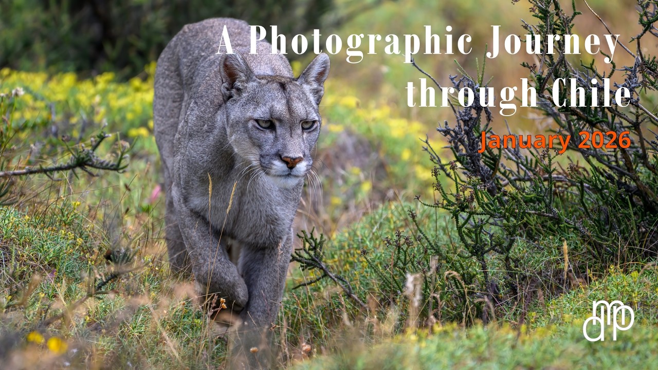 A Photographic Journey through Chile