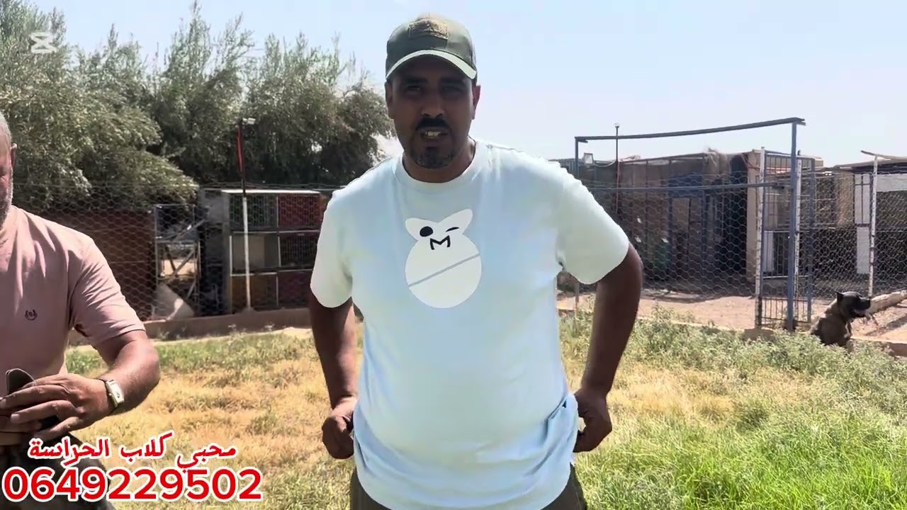 محبي كلاب الحراسة🐕‍🦺، كلاب للبيع بمدينة مراكش من فصيلة كاني كورسو🦮🥰