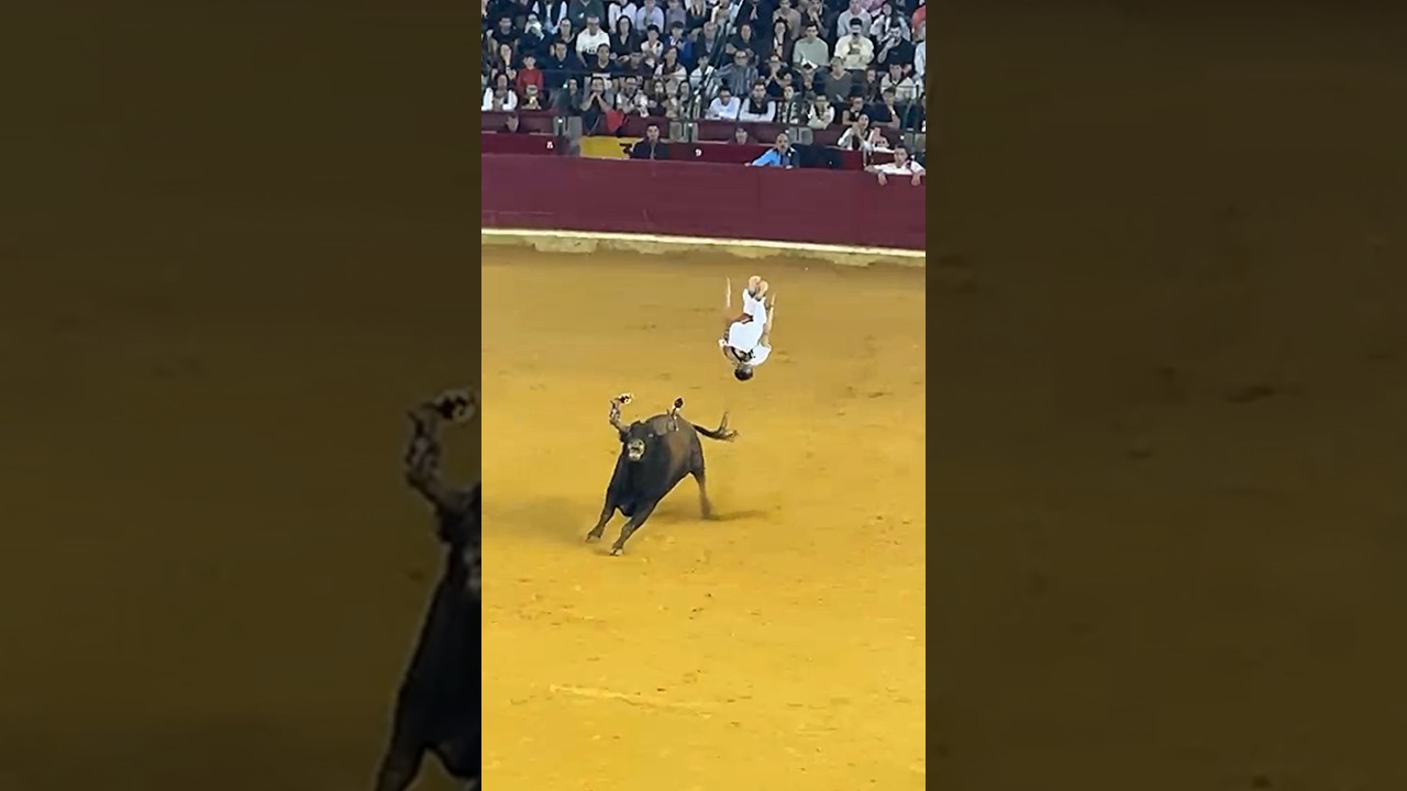 Recortes toros 2024