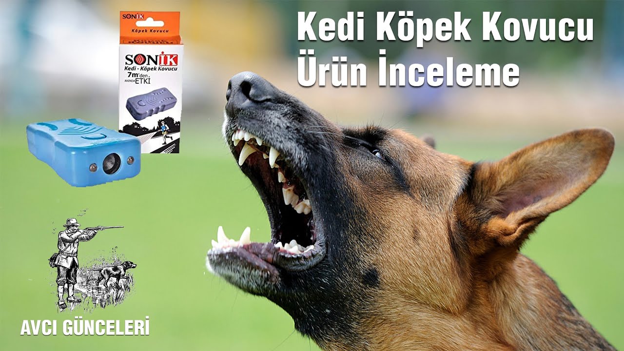 Köpek Kovucu, Sonik Köpek Kovucu, Avcı Günceleri