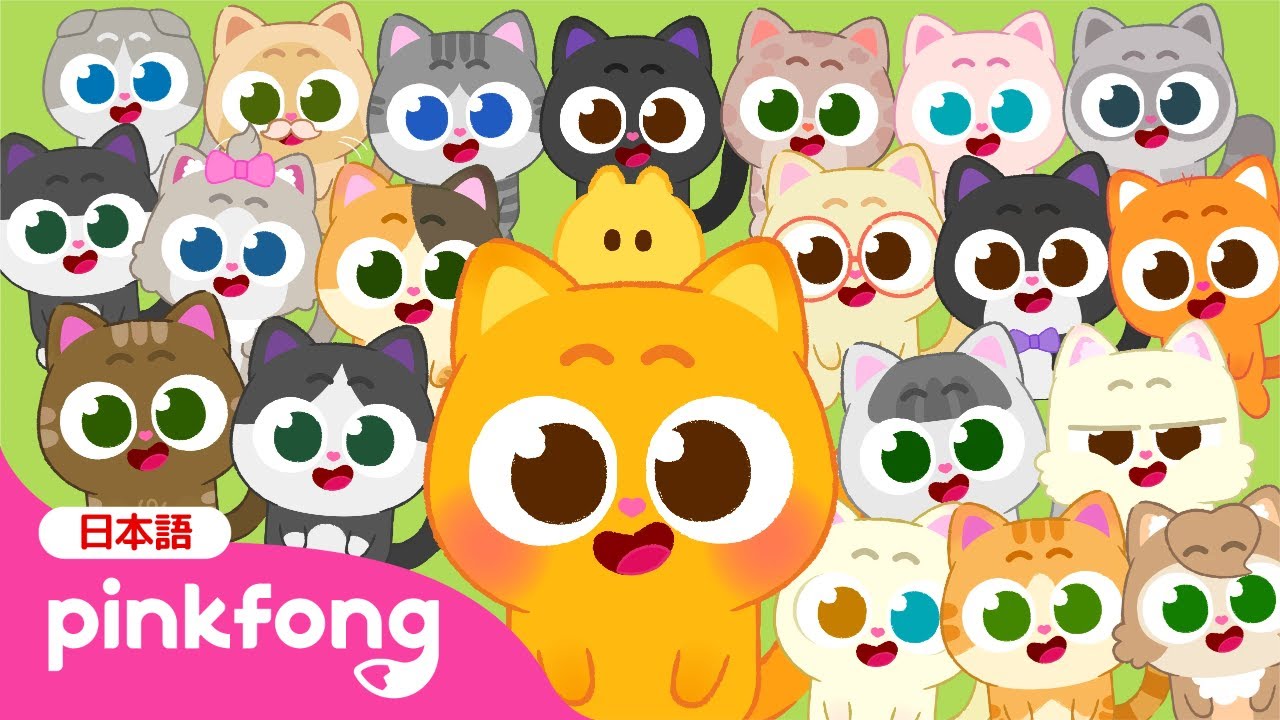 [NEW✨] 100匹のニニモ🐱🍡 |しろ、くろ、三毛、キジトラ、タキシードまで 💕みんなあつまれー！ |Ninimo |ベイビーシャークとピンキッツ