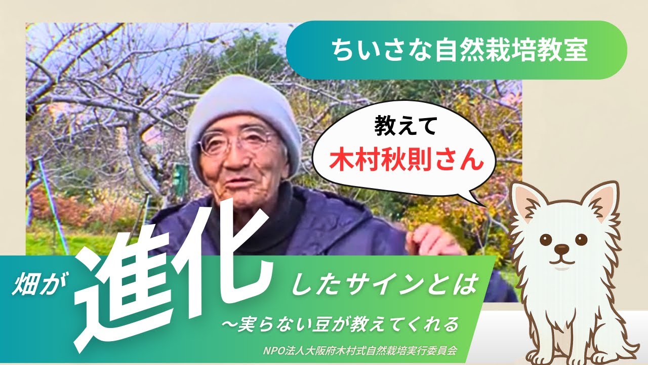 【自然栽培】畑が進化したサインを大豆が教えてくれた【木村秋則さん】