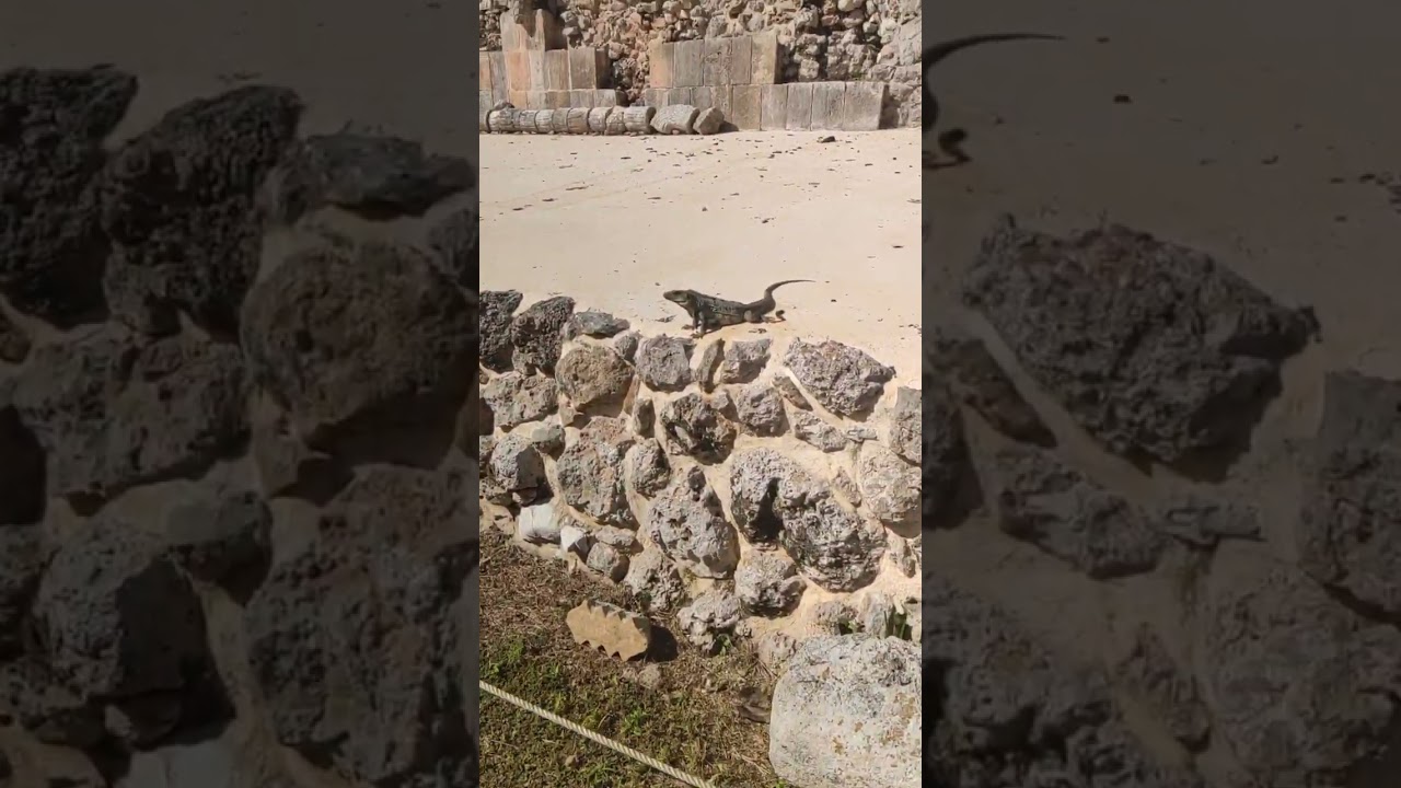 &iquest;C&oacute;mo era un ESTADIO del juego de la pelota de los MAYAS? Uxmal, M&Eacute;XICO.