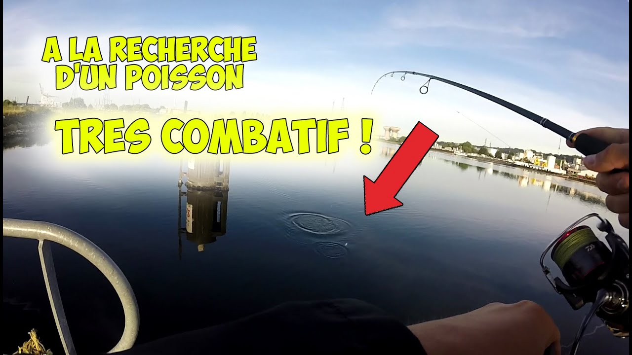 Pêche du mulet à la cuillère, sensations garanties !