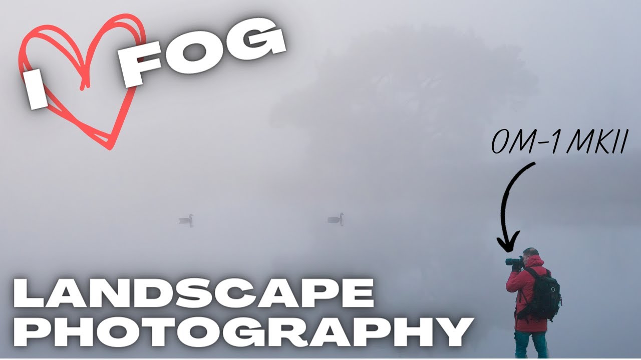 Fog is the Best Ingredient for Landscape Photography ! OM System OM-1 mkII