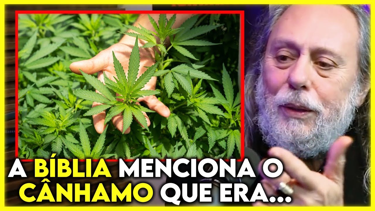 O QUE A BÍBLIA DIZ SOBRE O USO DA ERVA? | Cortes Podcast