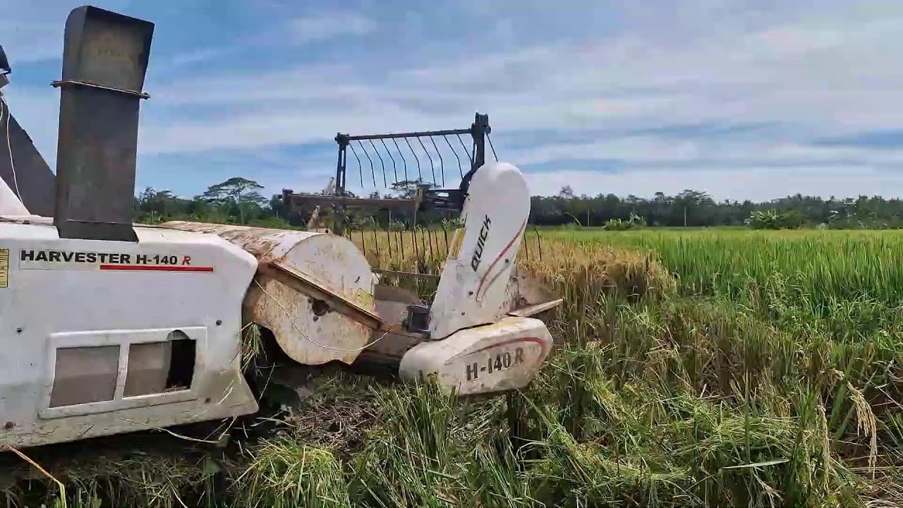 AMAZING MODERN FARMER HARVESTS RICE WITH HIGH-TECH MACHINE – SAVES HOURS! - Agriculture Farming