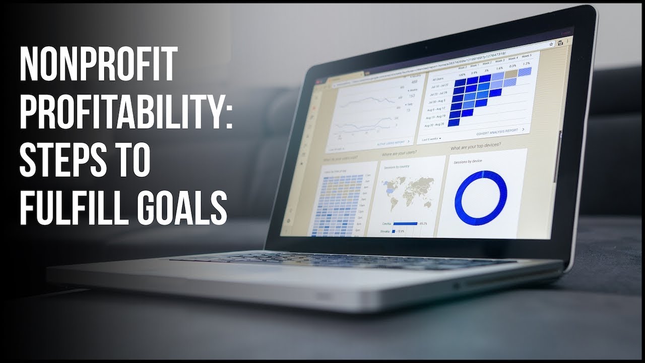 Nonprofit Profitability | Financial Strategies | Araize Academy