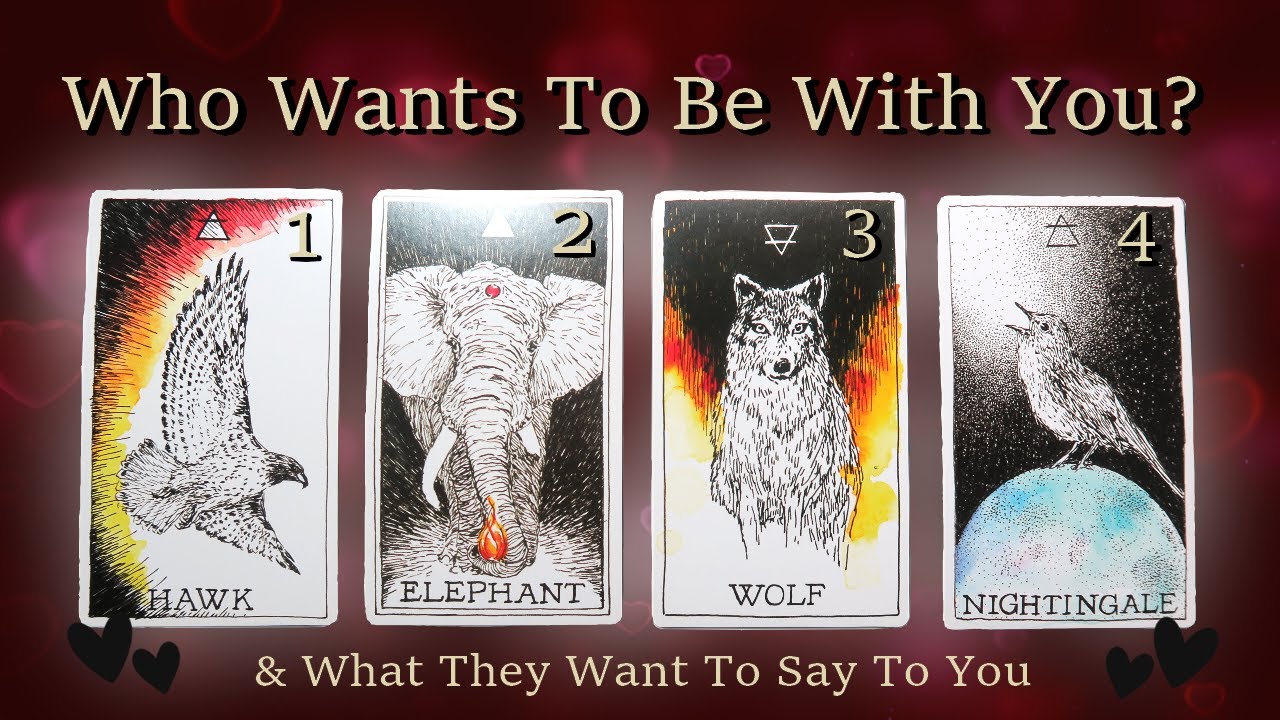 Who Wants To Be In A Relationship With You?! 👀💌& What Do They Want To Say To You?💭🔥 Pick A Card