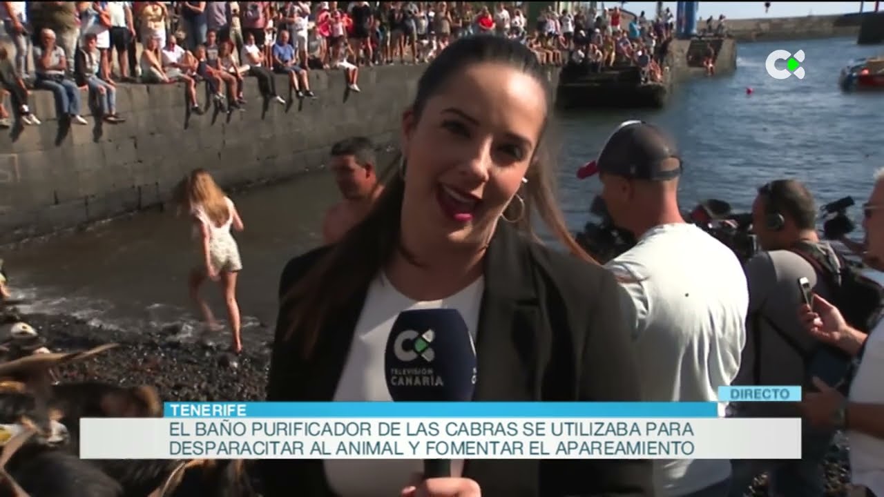 Tradicional baño de cabras en el día de San Juan