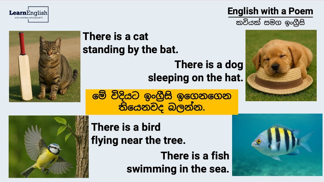 Easy English Grammar Through a Poem | For Teens & Adults | කවියක් ඇසුරින් පහසුවෙන් ඉංග්‍රීසි