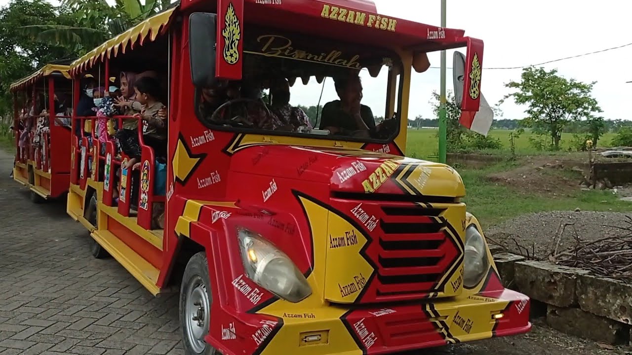 Ini Luar Biasa Keren‼️ Kereta Kelinci Datang & Pulang Begitu Ramainya♥️