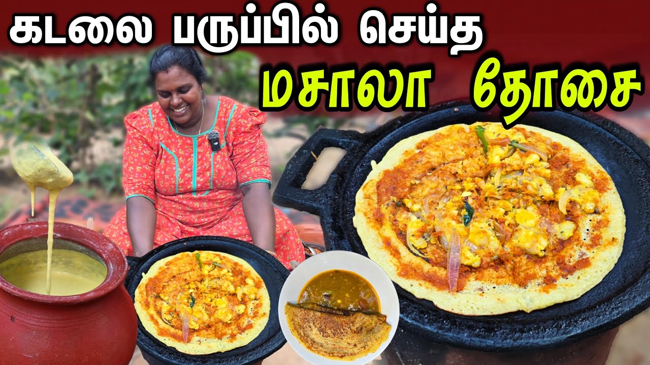 கடலை பருப்பில் செய்த மசாலா தோசை | Our Village cooking | vanni vlog