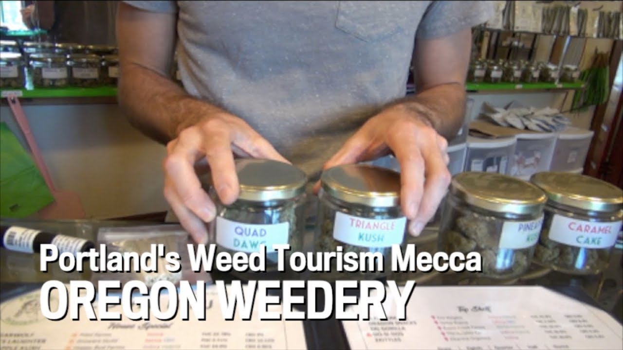 Dispensary Tour: Portland's Weed Tourism Mecca OREGON WEEDERY