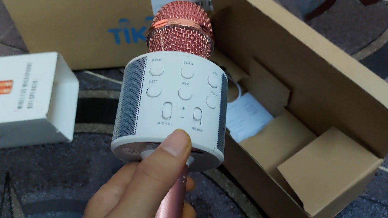 Mic H&aacute;t Karaoke K&egrave;m Loa Bluetooth WS-858 Đa Năng (Giao M&agrave;u Ngẫu Nhi&ecirc;n)