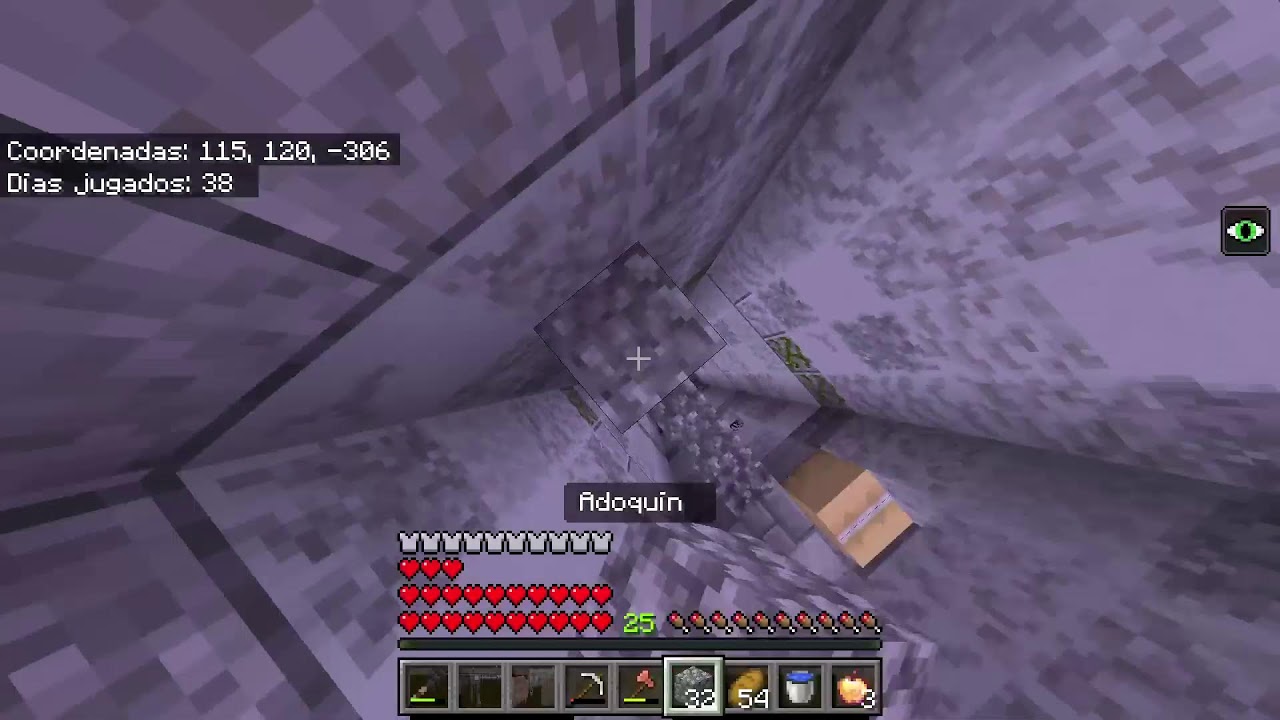 Minecraft pero es THE LAST OF US