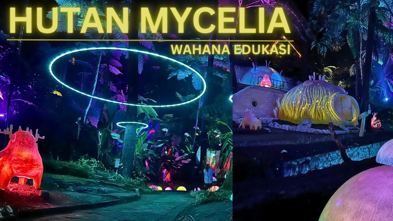 Berasa Ke Negeri Avatar ❗️Hutan Viral Yang Selalu Penuh❗️HUTAN MYCELIA CIKOLE