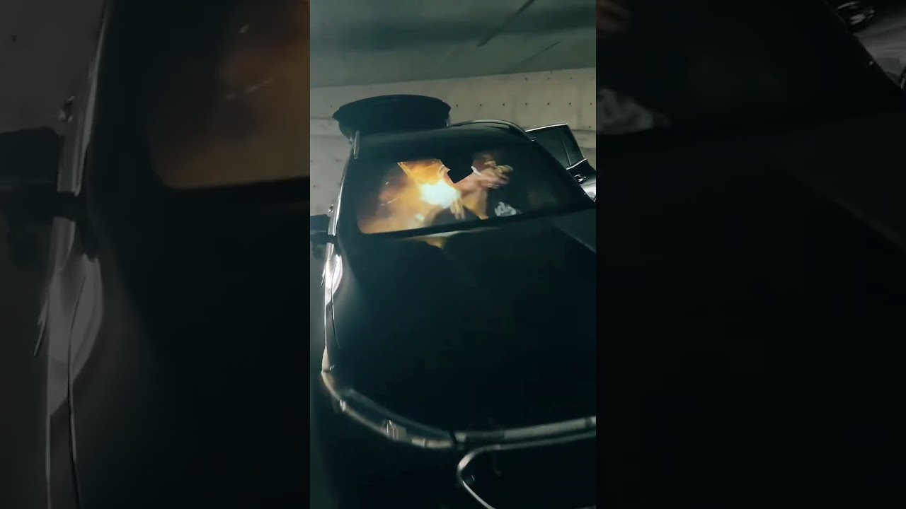 Делитесь своим контентом с помощью hologlass #badbunny