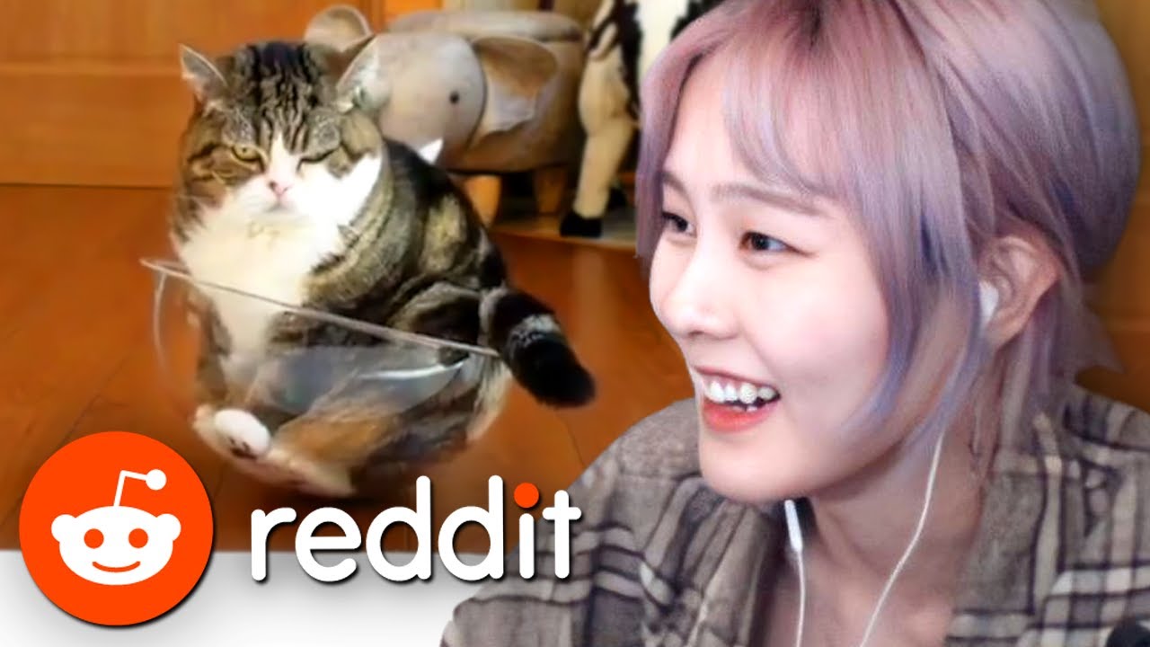 39daph Reacts to Reddit #45