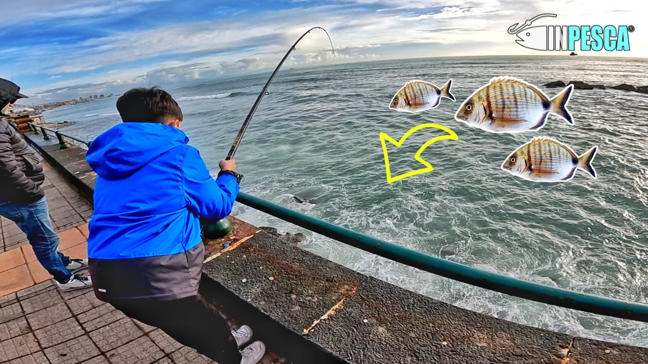 BOLOGNESE EXTREME: Fan di 11 anni da LECCE pesca SARAGHI BIG in Mareggiata!