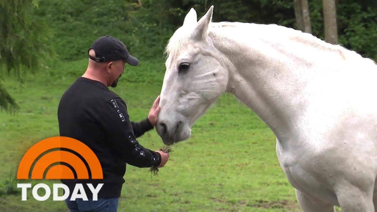 Man And Horse Form Strong Bond After ‘Horrible’ Accident