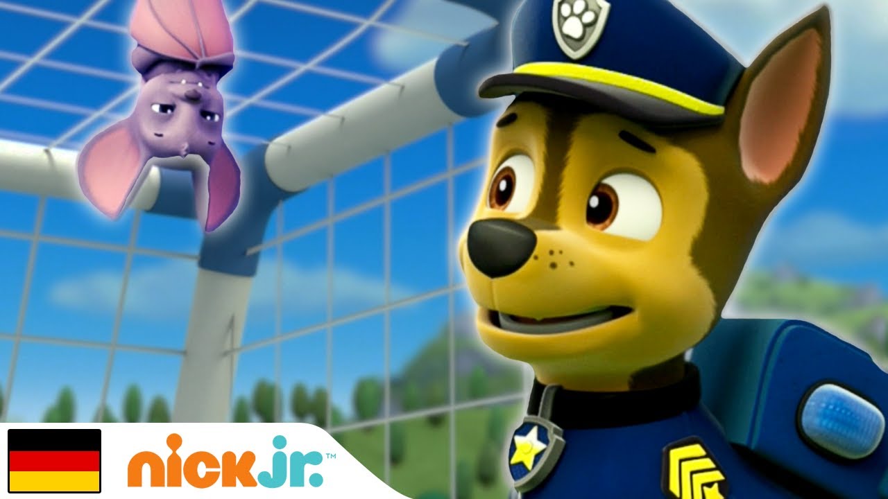 Paw Patrol | Das Zuhause der Fledermaus 🦇 | Nick Jr.