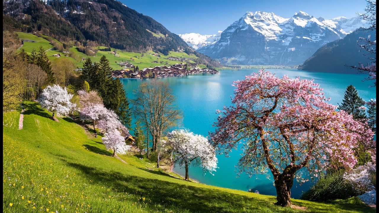 Beautiful Spring in Switzerland with Snowy Mountains | #swiss #swissview